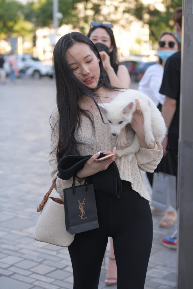 抱着小狗的漂亮女孩 J2106 136P-3.25GB-禾野套图